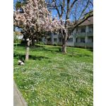 Zdjęcia użytkowników Realme GT Neo2 Zdjęcia użytkowników Realme GT Neo2