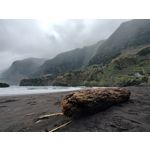 ZDJĘCIA Z TEGO TELEFONU