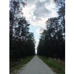 Zdjęcia użytkowników Realme Narzo 30 5G