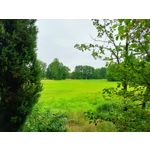 Zdjęcia użytkowników Realme Narzo 30 5G