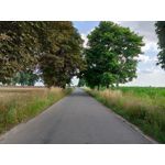 Zdjęcia użytkowników Realme Narzo 30A