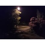 Zdjęcia użytkowników Realme Narzo 30A