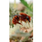 ZDJĘCIA Z TEGO TELEFONU