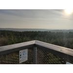 ZDJĘCIA Z TEGO TELEFONU