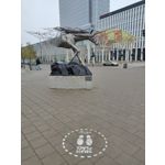 Zdjęcia użytkowników Realme X3 SuperZoom