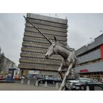 Zdjęcia użytkowników Realme X3 SuperZoom