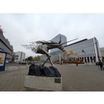 Zdjęcia użytkowników Realme X3 SuperZoom