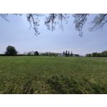 Zdjęcia użytkowników Realme X50 Pro Zdjęcia użytkowników Realme X50 Pro
