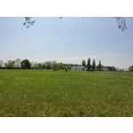 Zdjęcia użytkowników Realme X50 Pro Zdjęcia użytkowników Realme X50 Pro