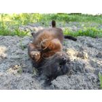 Zdjęcia użytkowników Realme X50 Pro Zdjęcia użytkowników Realme X50 Pro
