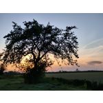 Zdjęcia użytkowników Realme X50 Pro Zdjęcia użytkowników Realme X50 Pro