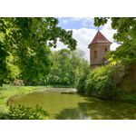 Zdjęcia użytkowników Realme X50 Pro Zdjęcia użytkowników Realme X50 Pro