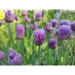 Zdjęcia użytkowników Realme X50 Pro Zdjęcia użytkowników Realme X50 Pro