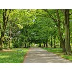 Zdjęcia użytkowników Realme X50 Pro Zdjęcia użytkowników Realme X50 Pro