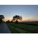 Zdjęcia użytkowników Realme X50 Pro Zdjęcia użytkowników Realme X50 Pro
