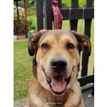 Zdjęcia użytkowników Realme 12 Pro+ Zdjęcia użytkowników Realme 12 Pro+