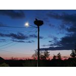 Zdjęcia użytkowników Realme 12 Pro+ Zdjęcia użytkowników Realme 12 Pro+