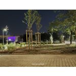 Zdjęcia użytkowników Realme 12 Pro+ Zdjęcia użytkowników Realme 12 Pro+