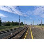 Zdjęcia użytkowników Realme 14 5G
