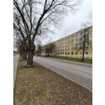 Zdjęcia użytkowników Realme 14 Pro+