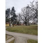 Zdjęcia użytkowników Realme 14 Pro+