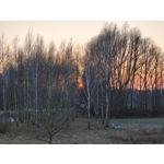 Zdjęcia użytkowników Realme 14 Pro+