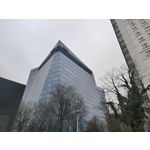 Zdjęcia użytkowników Realme 14 Pro+