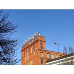 Zdjęcia użytkowników Realme 14 Pro+