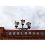 Zdjęcia użytkowników Realme 14T 5G