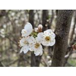 Zdjęcia użytkowników Realme 14T 5G