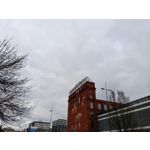 Zdjęcia użytkowników Realme 14T 5G