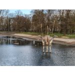 Zdjęcia użytkowników Realme 14T 5G