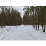 Zdjęcia użytkowników Realme 16 Pro 5G