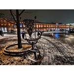 Zdjęcia użytkowników Realme 16 Pro 5G