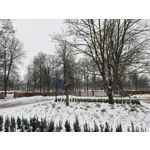 Zdjęcia użytkowników Realme 16 Pro 5G