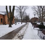 Zdjęcia użytkowników Realme 16 Pro 5G