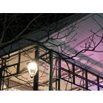 Zdjęcia użytkowników Realme 16 Pro 5G