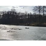 Zdjęcia użytkowników Realme 16 Pro 5G