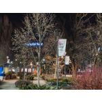 Zdjęcia użytkowników Realme 16 Pro 5G