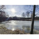 Zdjęcia użytkowników Realme 16 Pro 5G