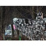 Zdjęcia użytkowników Realme 16 Pro 5G