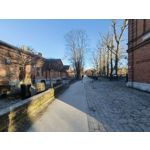 Zdjęcia użytkowników Realme 16 Pro 5G