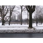 Zdjęcia użytkowników Realme 16 Pro 5G