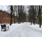 Zdjęcia użytkowników Realme 16 Pro 5G