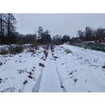 Zdjęcia użytkowników Realme 16 Pro 5G