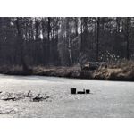 Zdjęcia użytkowników Realme 16 Pro 5G