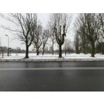 Zdjęcia użytkowników Realme 16 Pro 5G