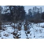 Zdjęcia użytkowników Realme 16 Pro 5G