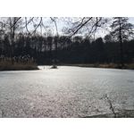 Zdjęcia użytkowników Realme 16 Pro 5G