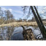 Zdjęcia użytkowników Realme 16 Pro 5G